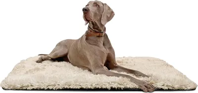 Produktbild von tierlando® Hundeliegedecke SHARY kuscheliger Zottelplüsch flauschiger Langfloor - Größe: 60x45cm | Farbe: 14 Beige