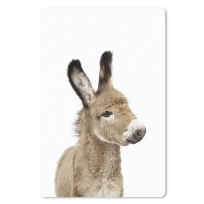 Produktbild von MuchoWow® Mauspad Mousepad Esel - Braun - Tiere - Natur 18x27 cm - Mousepads - Maus Mat - Pad - Mausunterlage