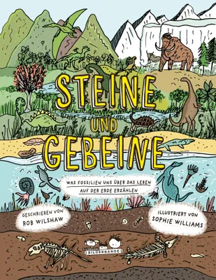 Produktbild von Steine und Gebeine