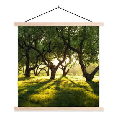 Produktbild von MuchoWow® Textilposter Bäume - Natur - Sonne 60x60 cm mit holzfarbenen Rahmen - Wanddekoration