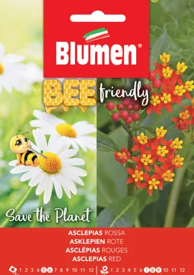 Artikelbild 1 von 'Rotblühende Seidenpflanze' aus der Kategorie Blumensamen