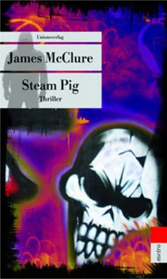 Image de Steam Pig