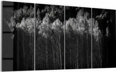 Produktbild von DEQORI Glasbild Echtglas 4x30x60 cm 'Stille des Waldes' Wandbilder XXL groß