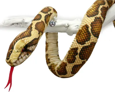 A plush snake toy is coiled around a white branch against a white background.