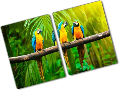 Produktbild von Tulup Glas Herdabdeckplatte - 2x40x52 cm - Glaskeramikkochfeld-Abdeckung Spritzschutz Glasabdeckplatte Kochplattenabdeckung und Schneidebrett - Zweiteilig - Tiere - Papageien Ast - Mehrfarbig