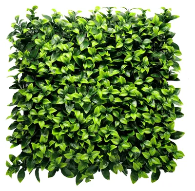 Produktbild von Pflanzenwand - Künstliche Pflanzen zur Wandmontage - 50 x 50 cm - Wandgarten - Dekoration für Wand, Balkon & Garten