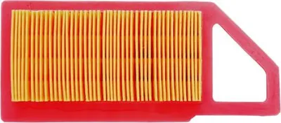 Produktbild von Luftfilter Für Castelgarden Stiga Ggp Tre0702-Wm12,5