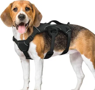 Produktbild von Famanu Hundegeschirr Verstellbar mit Rückenhandgriff - Schwarz