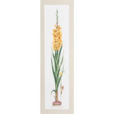 Produktbild von Thea Gouverneur Kreuzstich Stickpackung "Gladiolengelb Aida", Zählmuster, 20x88cm