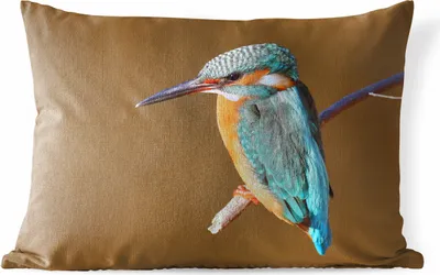 Produktbild von MuchoWow® Outdoor Kissen - Eisvogel - Äste - Bunt - 50x30 cm - Wetterfest - Lounge Kissen - Sofa kissen - Wohnzimmer Dekoration