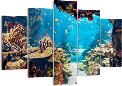 Produktbild von Bild auf Leinwand - Leinwandbild - Ozean Riff Fische Koralle - 150x100cm - Wand Bild - Wanddeko - Leinwanddruck - Bilder - Kunstdruck - Wanddekoration - Leinwand bilder - Wandkunst - EA150x100-2872