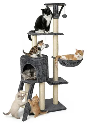 Produktbild von Kratzbaum großer für Katzen 144 cm, stabil Kratzbaum mit 5 Plattformen, Leiter und Liegemulde, Aktivitätskratzbäume, grau
