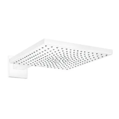 Obrázek produktu pro HANSGROHE 26238700 Horní sprcha Raindance E 300 1jet