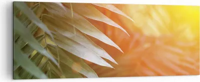 Produktbild von Bild auf Leinwand - Leinwandbild - Einteilig - Exotisch Blätter Dämmerung - 140x50cm - Wand Bild - Wanddeko - Wandbilder - Leinwanddruck - Bilder - Wanddekoration - Leinwand bilder - AB140x50-4807