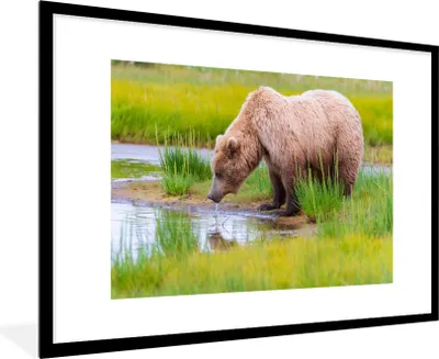 Produktbild von MuchoWow® MuchoWow® Gerahmtes Poster Bär - Wasser - Gras - Wild 90x60 cm - Poster mit zchwarzem Bilderrahmen - Wanddekoration - Fotos