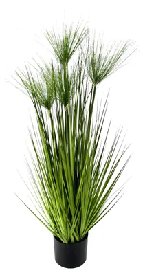 Kunstpflanze Zyperngras im Topf, Grün, 100 x 30 x 30 cm