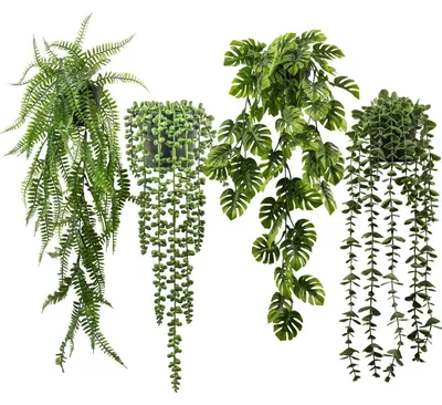Produktbild von 4er-Set Künstliche Hängepflanzen 42-66 cm Erbsenpflanze Monstera Eukalyptus Farn