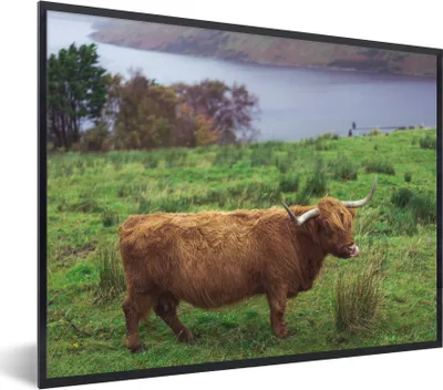 Produktbild von MuchoWow® Gerahmtes Poster Schottische Highlander - Gras - Wasser - Tiere 80x60 cm - Poster mit Schwarzem Bilderrahmen Wandposter Rahmen Foto Bilder - Schwarzem - Mit Gestell