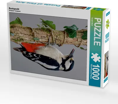 Produktbild von CALVENDO Puzzle Buntspecht | 1000 Teile Lege-Größe 64x48cm Foto-Puzzle für glückliche Stunden