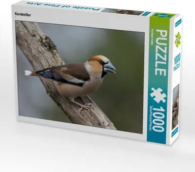 Produktbild von CALVENDO Puzzle Kernbeißer | 1000 Teile Lege-Größe 64x48cm Foto-Puzzle für glückliche Stunden