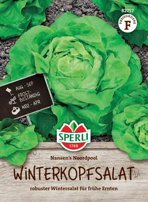 Produktbild von SPERLI Winterkopfsalatsamen Nansen's Noordpool Lactuca sativa 150 Pflanzen