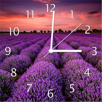Produktbild von Wallario Design Wanduhr Lavendelfeld unter rotem Himmel aus Echtglas, Größe 30 x 30 cm