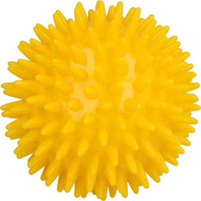 Immagine prodotto di Palla da massaggio per ricci 8 cm sciolta 1 pz