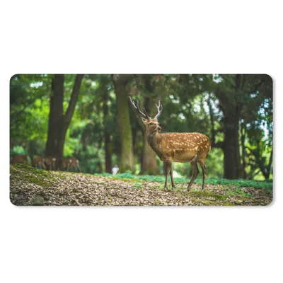 Produktbild von MuchoWow® Mauspad Mousepad Rotwild - Wald - Tier 60x30 cm - Mousepads - Maus Mat - Pad - Mausunterlage - Nachhaltig