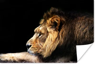 Produktbild von MuchoWow® Poster Profil - Löwe - Schwarz 60x40 cm - Schlafzimmerdekoration