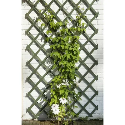 Zdjęcie produktu dla Krata ogrodowa Nature 50x150 cm drewno zielone