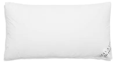 Productafbeelding van Hoofdkussen 70x90 cm van 100% Ganzendons, 3000g Vulling