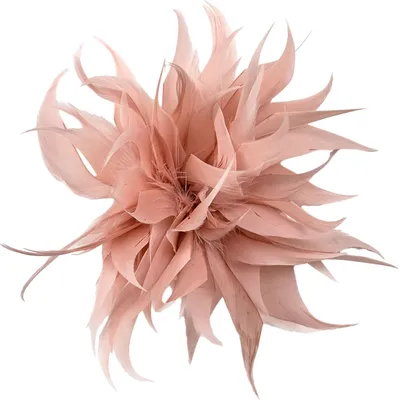 Produktbild von Tuch Feder Blume Brosche Dekorative Kleidung Pin Anzug Revers Schal Schal Abzeichen Frauen Hochzeit Party Zubehör