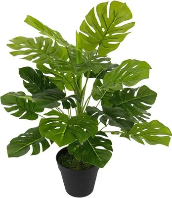 Obrázek produktu pro Umělá rostlina Monstera, hedvábná dekorace