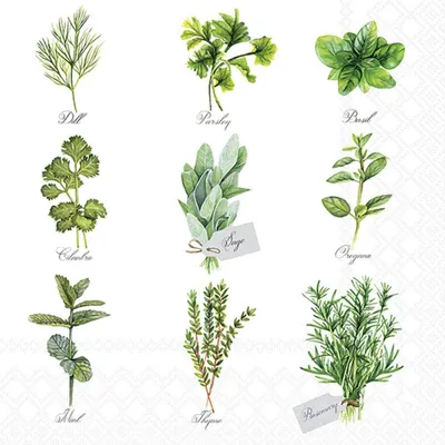 Produktbild von 20 Servietten Herb Selection - Kräuter für die Küche 33x33cm
