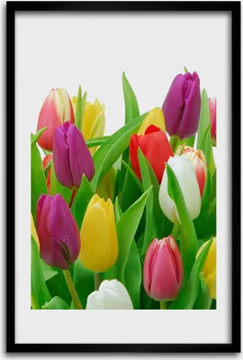 Produktbild von Bild - Bilderrahmen - 40 cm x 60 cm - MDF - Rahmen - Wandkunst - Bunte Tulpen