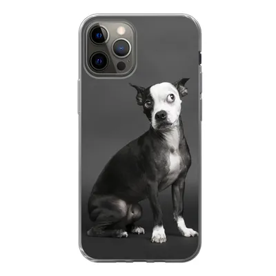 Produktbild von MuchoWow® Handyhülle Schutzhülle Hülle für iPhone 13 Pro Hund - Spot - Porträt Silikon Softcase Handy Hülle