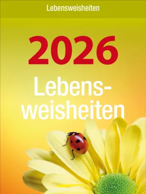 A close-up of a yellow flower with a ladybug on one of its petals, with text overlayed on a yellow and orange gradient background.