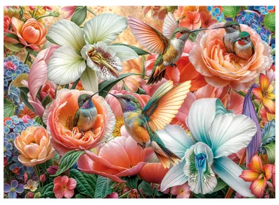 Image de Puzzle Educa 500 pièces