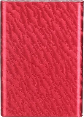 Produktbild von Schutzhülle für Kreditkarten im Brieftaschenformat mit RFID-Blockierung und Antimagnetfunktion (B Wellenrot)