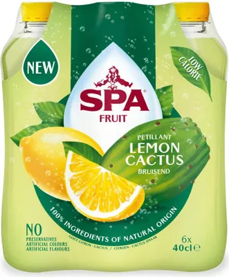 Obrázok produktu pre Spa Fruit - Spa Fruit Lemon Cactus, 40 cl fľaša, balenie 6 ks