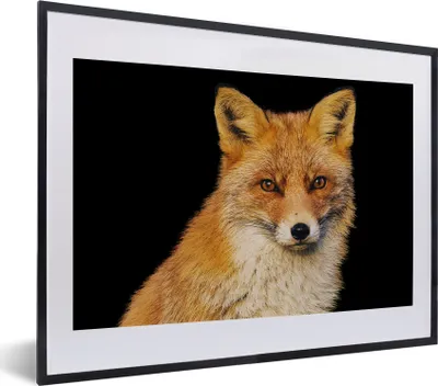 Produktbild von MuchoWow® MuchoWow® Gerahmtes Poster Fuchs - Rot - Schwarz 40x30 cm - Poster mit zchwarzem Bilderrahmen - Bilderrahmen - Poster im Rahmen