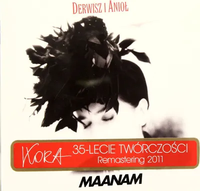 Obrázek produktu pro Maanam: Derviš a anděl (digipack)
