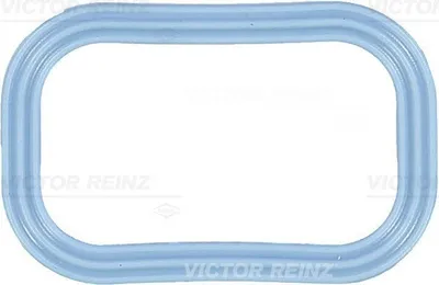 Produktbild von REINZ 71-35539-00 Ansaugkrümmer-Dichtung für FIAT Ducato Kastenwagen (250, 290) für CITROËN JUMPER Kasten für FORD Transit Custom V362 Kastenwagen