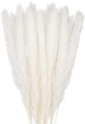 Obrázok produktu pre Balenie 30 ks Pampas Dekorácia sušená tráva, Sušené kvety Podlahová Váza Sušené kvety 58cm, Biele umelé kvety Boho Dekorácia Spálňa Obývačka Balkón Kúpeľňa Izba Dekorácia na stôl Svadba