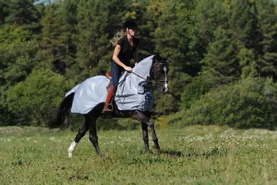 Produktbild von Bucas Buzz-Off Riding Outdoordecke, Reitdecke, Farbe:Blue, Größe:L
