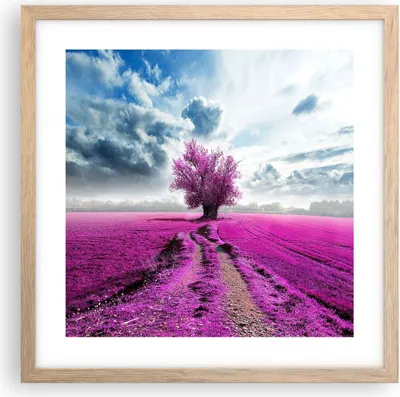Produktbild von Gerahmtes Poster - Rahmen in heller Eiche - Heidefeld Baum Wolken Landschaft - 40x40 cm - Wand Bild - Wanddeko - Wandbilder - Wandposter - Bilderrahmen - Bilder - Kunstdruck - P2NAC40x40-2547