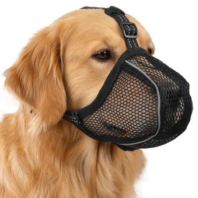 Immagine prodotto di Museruola per cani, in rete, traspirante, regolabile, riflettente, taglia M