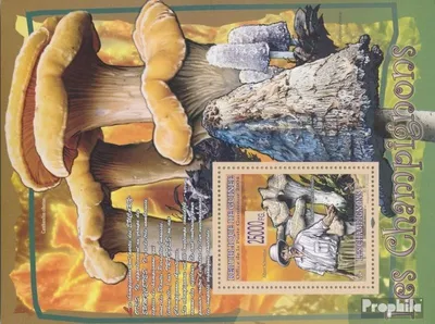 Produktbild von Briefmarken Guinea 2008 Mi Block 1500 (kompl. Ausgabe) postfrisch Albert Schweitzer