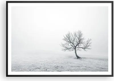 Produktbild von Gerahmtes Poster - Schwarzer Rahmen - Baum Feld Natur - 100x70 cm - Wand Bild - Wanddeko - Wandbilder - Kunstposter - Wandposter - Bilderrahmen - Bilder - Kunstdruck - Wandbild - P2BAA100x70-3683