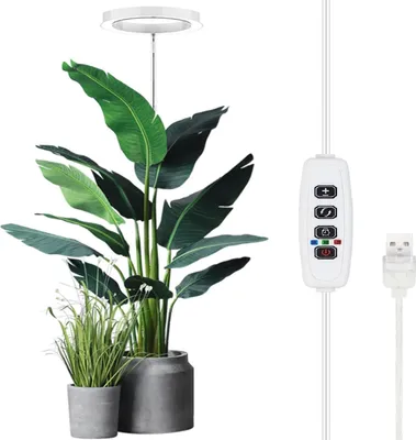 Obrázok produktu pre Svetlo na pestovanie rastlín Podlahová lampa Podlahový model Celospektrálne slnečné svetlo Veľký kvetináč plniace svetlo 3/9/12 hodín Časovanie 10 úrovní Stmievanie